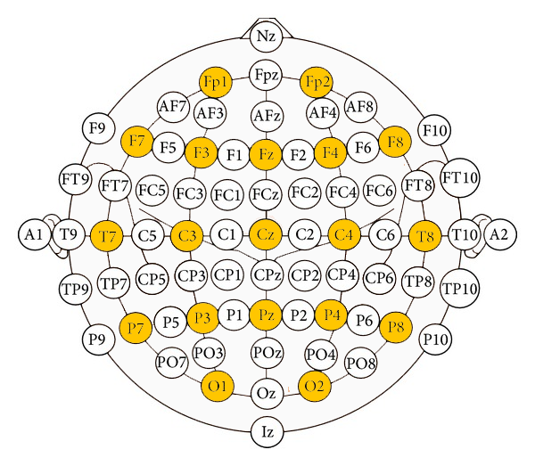 electrode-cap-nodes_1