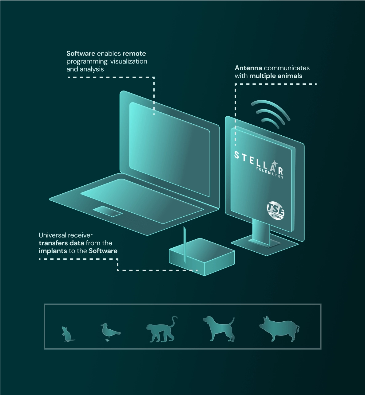 All-Digital-Solution-2 (1)