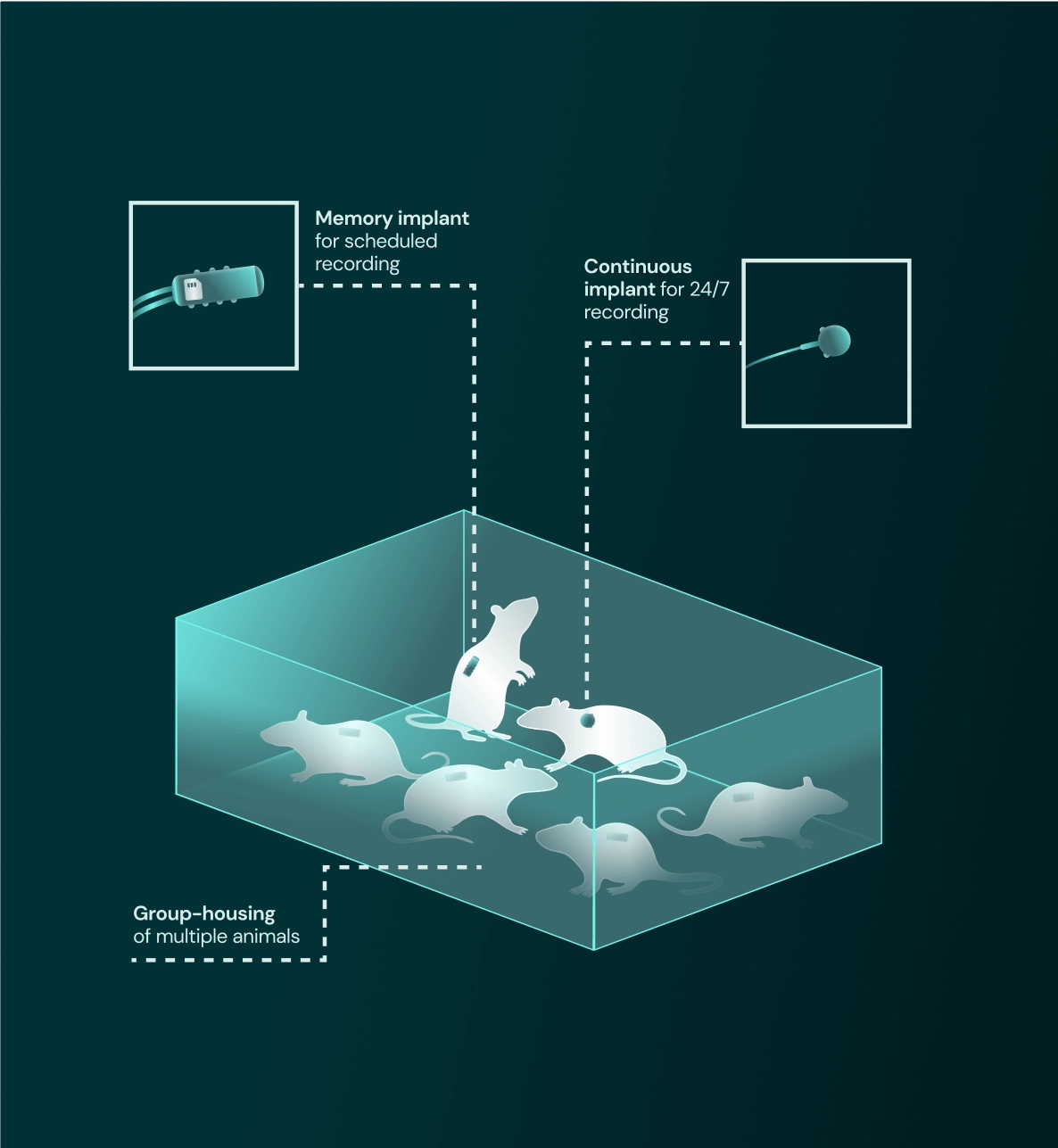 Unmatched-Throughput-and-Flexibility-2